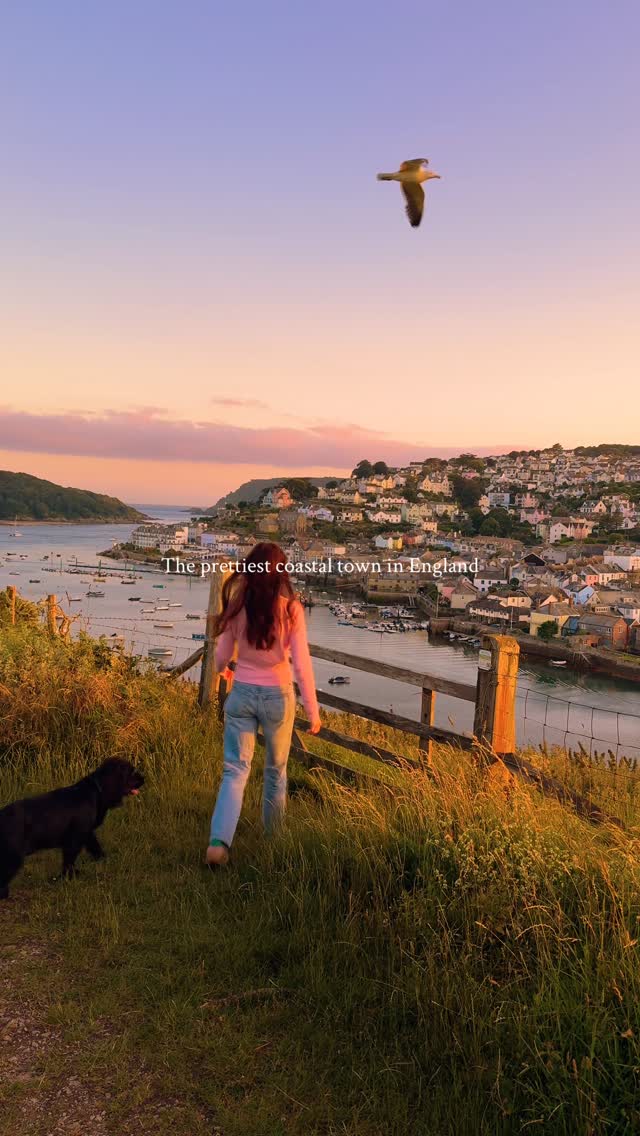 Devon Coastal Charm: Salcombe and Snapes Point