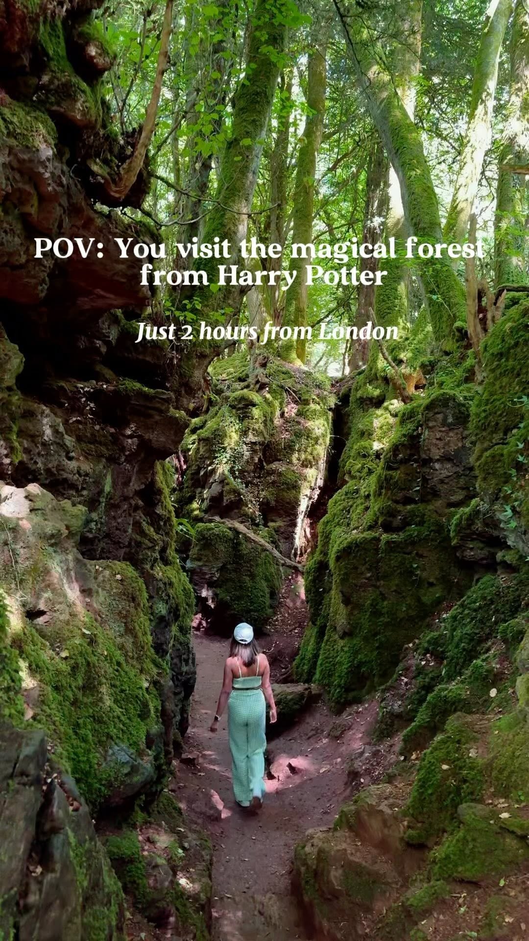 Puzzlewood: A Magical Forest Filming Location