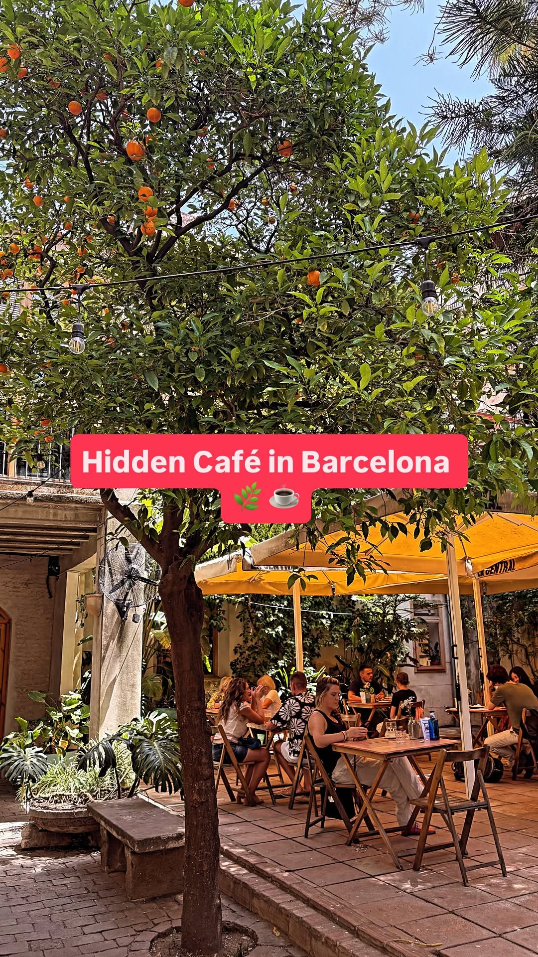 2 Cafes in Barcelona