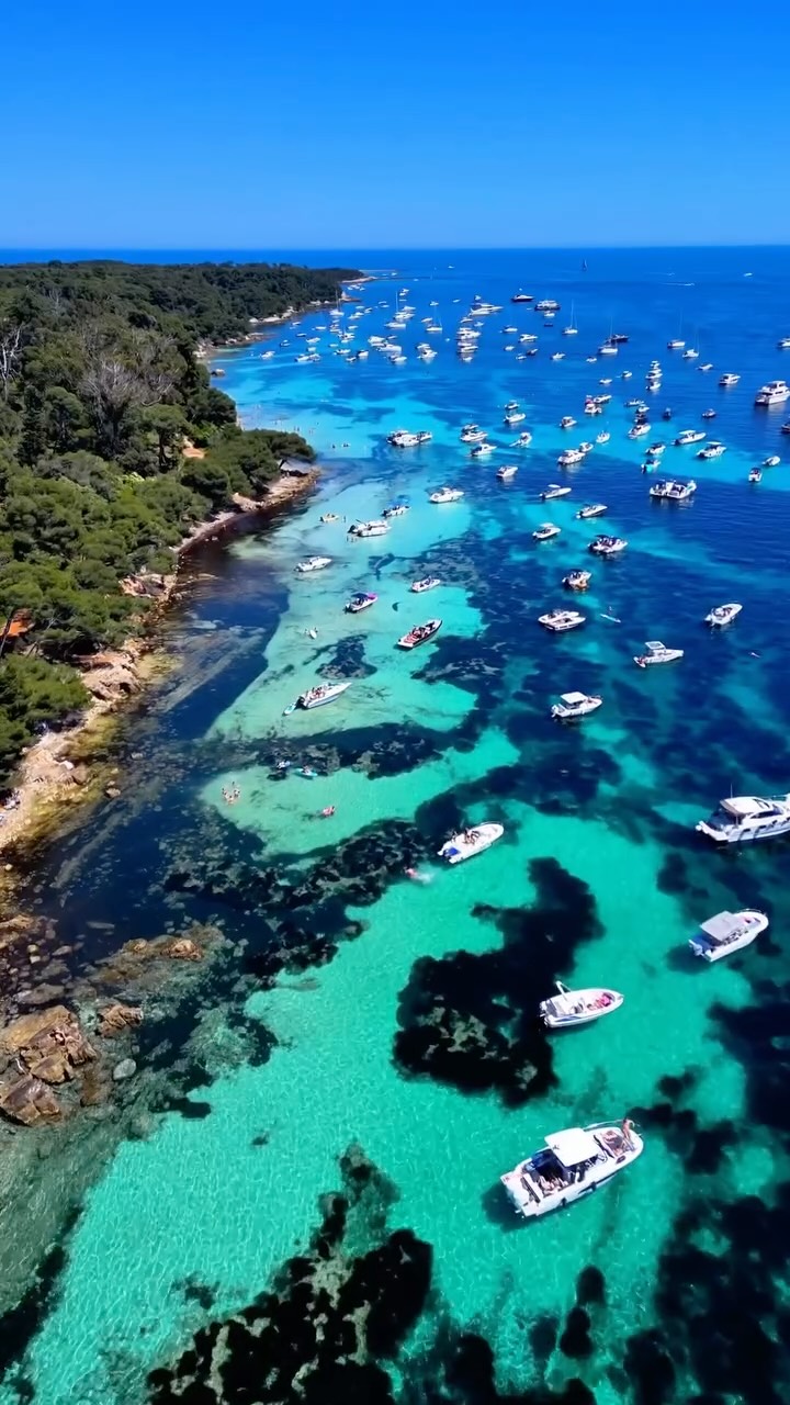 5 Attractions in Cannes