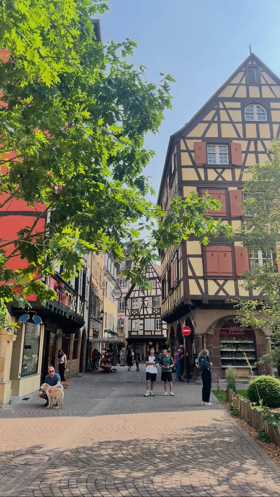 Colmar: France's Fairy Tale Village