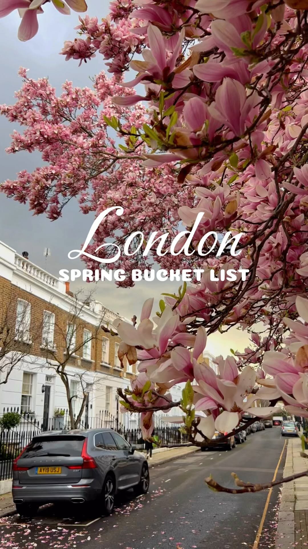 London's Best Spring Blossom Viewing Spots