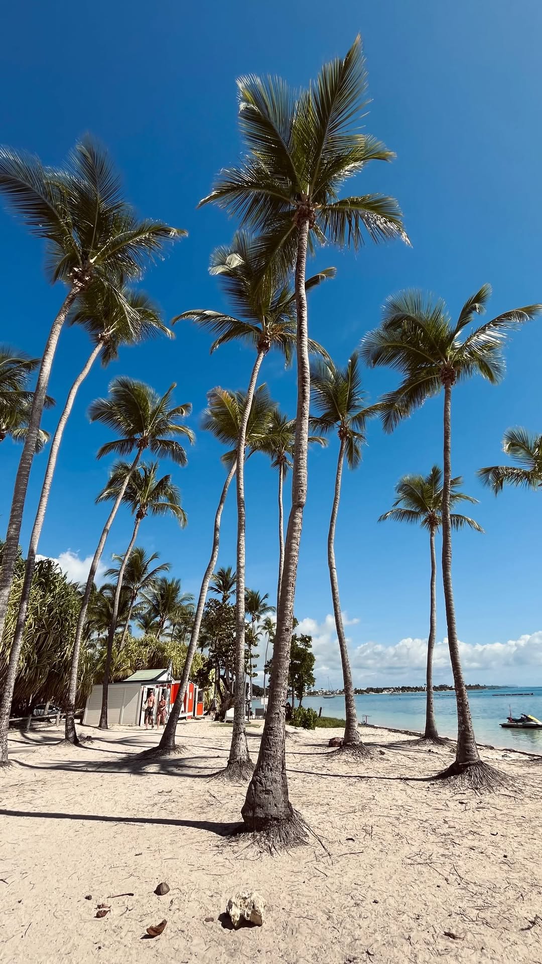 38 Attractions in Guadeloupe