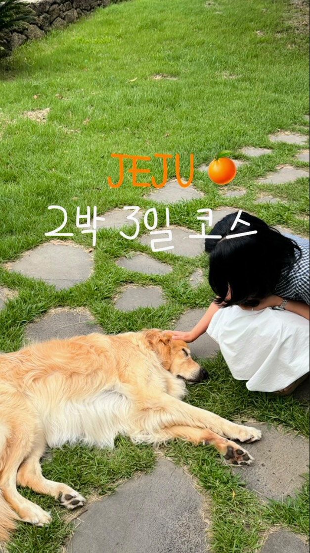 11 Places in Jeju-do