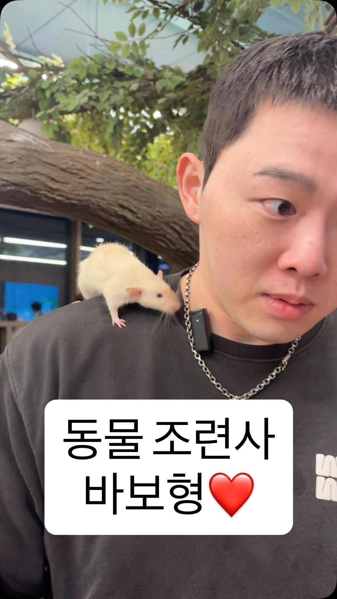 Explore A Unique Animal Cafe Experience