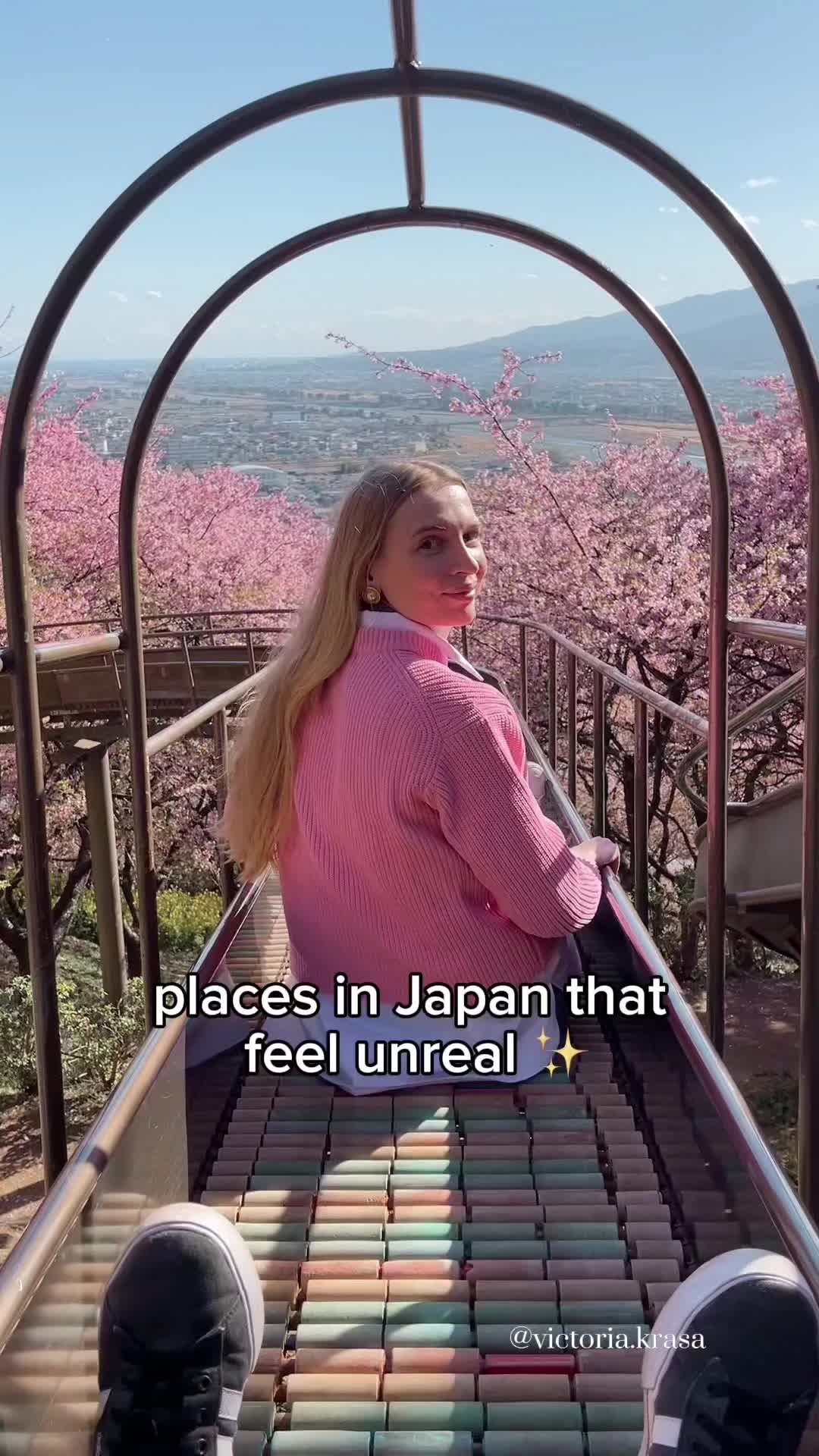 6 Attractions in Japan