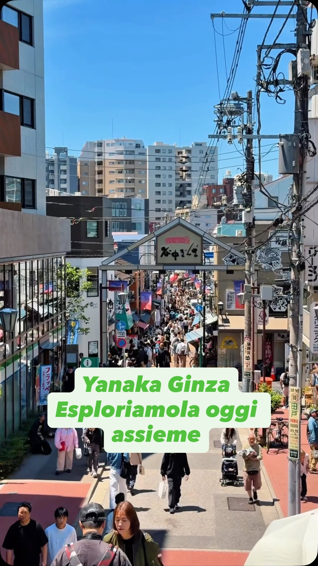 5 Places in Taito City