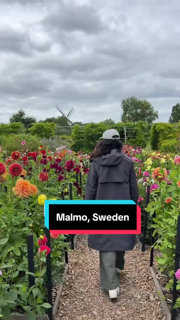 Malmö's Top Attractions And Dining