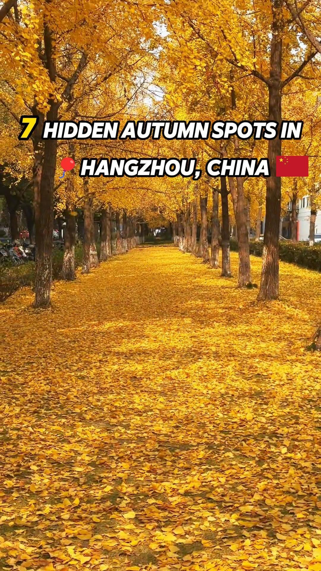 Hangzhou's Secret Autumn Foliage Spots