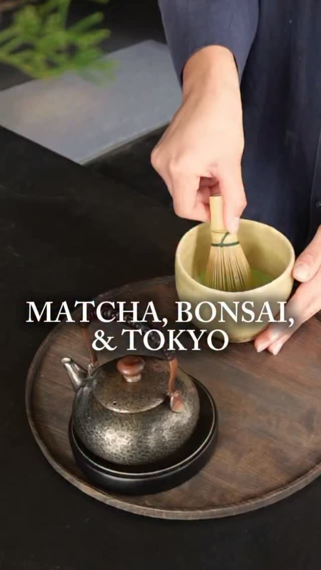 1 Cafes in Minato City
