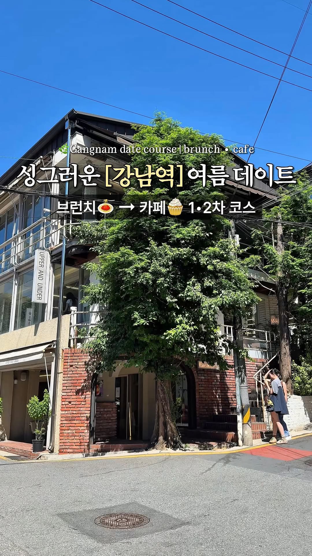Gangnam Brunch and Dessert Cafe Hotspots
