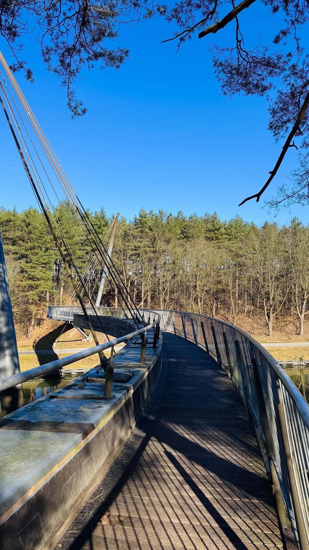 Nature Walk Featuring Sand Dunes And Observation Deck