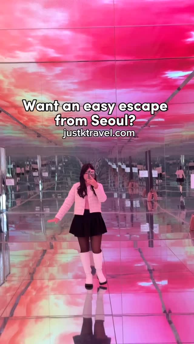 Seoul Day Trip: Nami Island and Bird Park