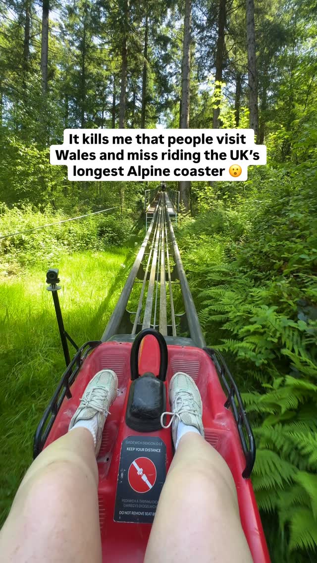 Zip World Fforest Coaster Thrills In North Wales