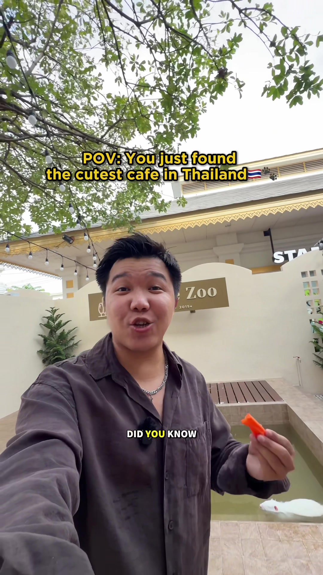 Bangkok Cafe Offers Encounters with Diverse Animals