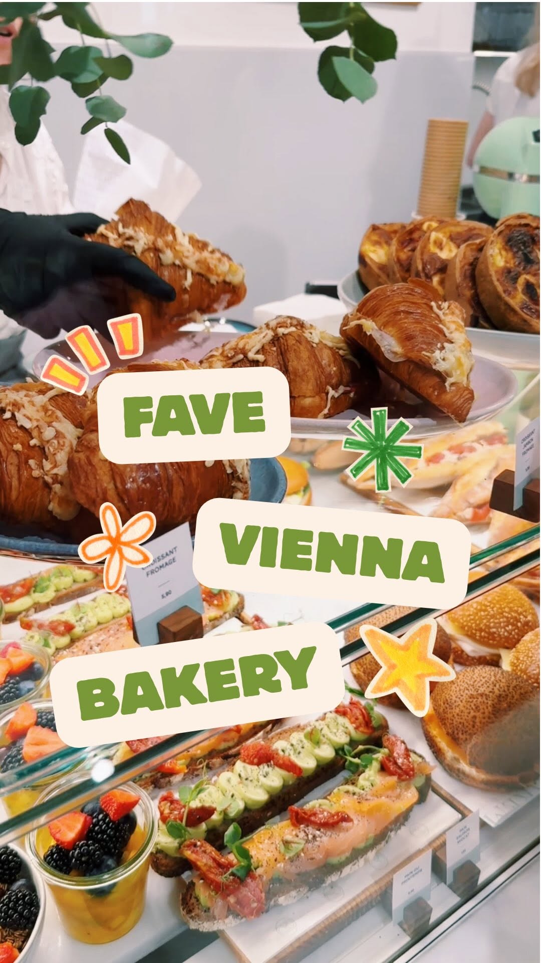 Bakery Delights and Park Picnics in Vienna