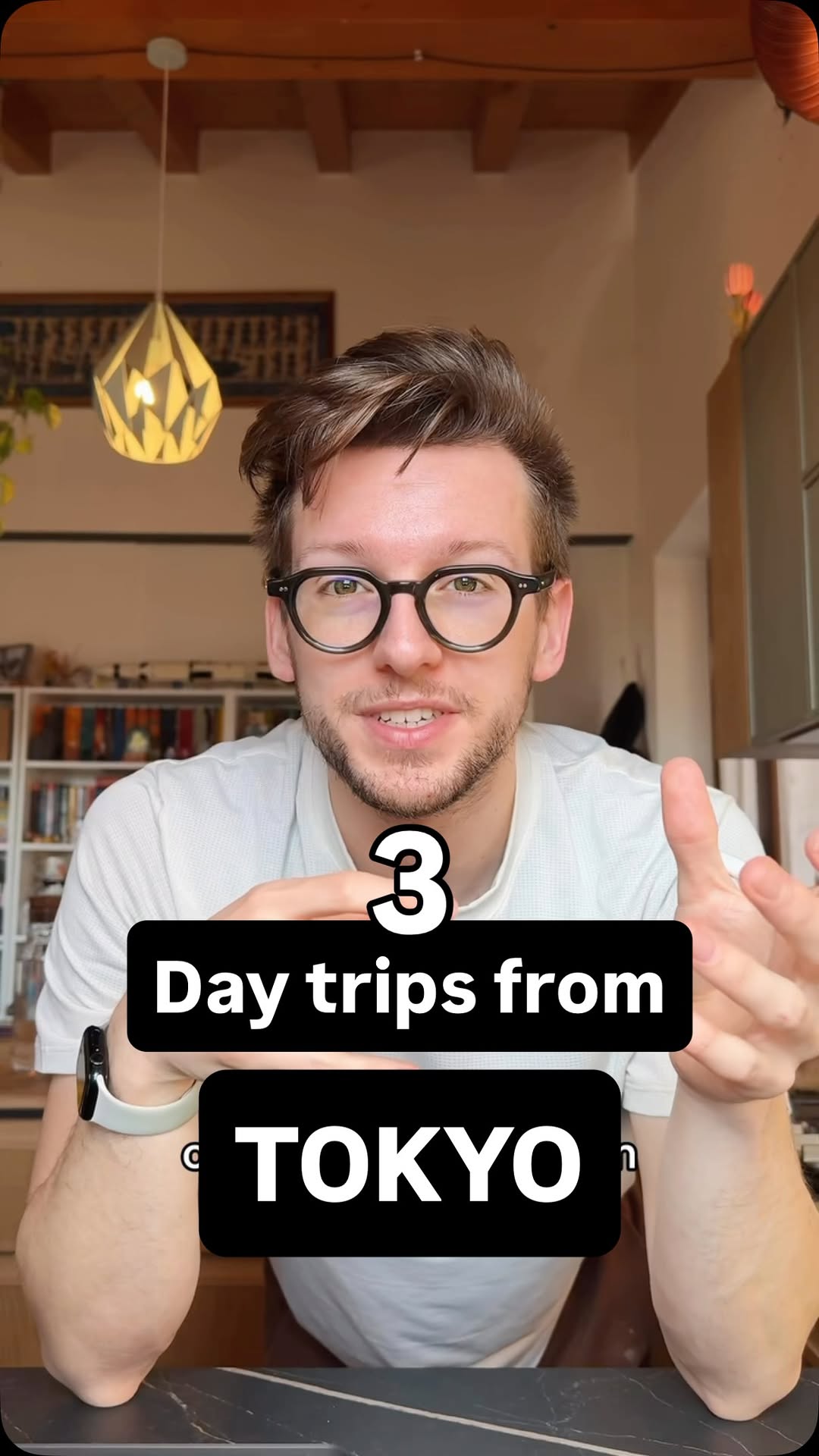 5 Attractions in Japan