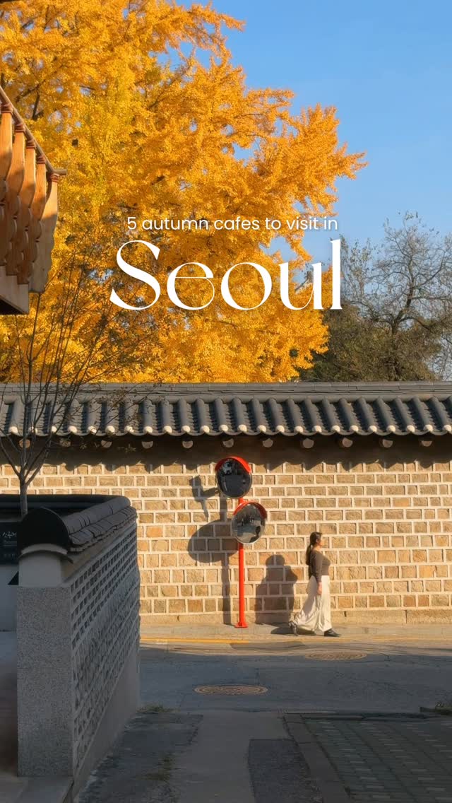 5 Cafes in Seoul