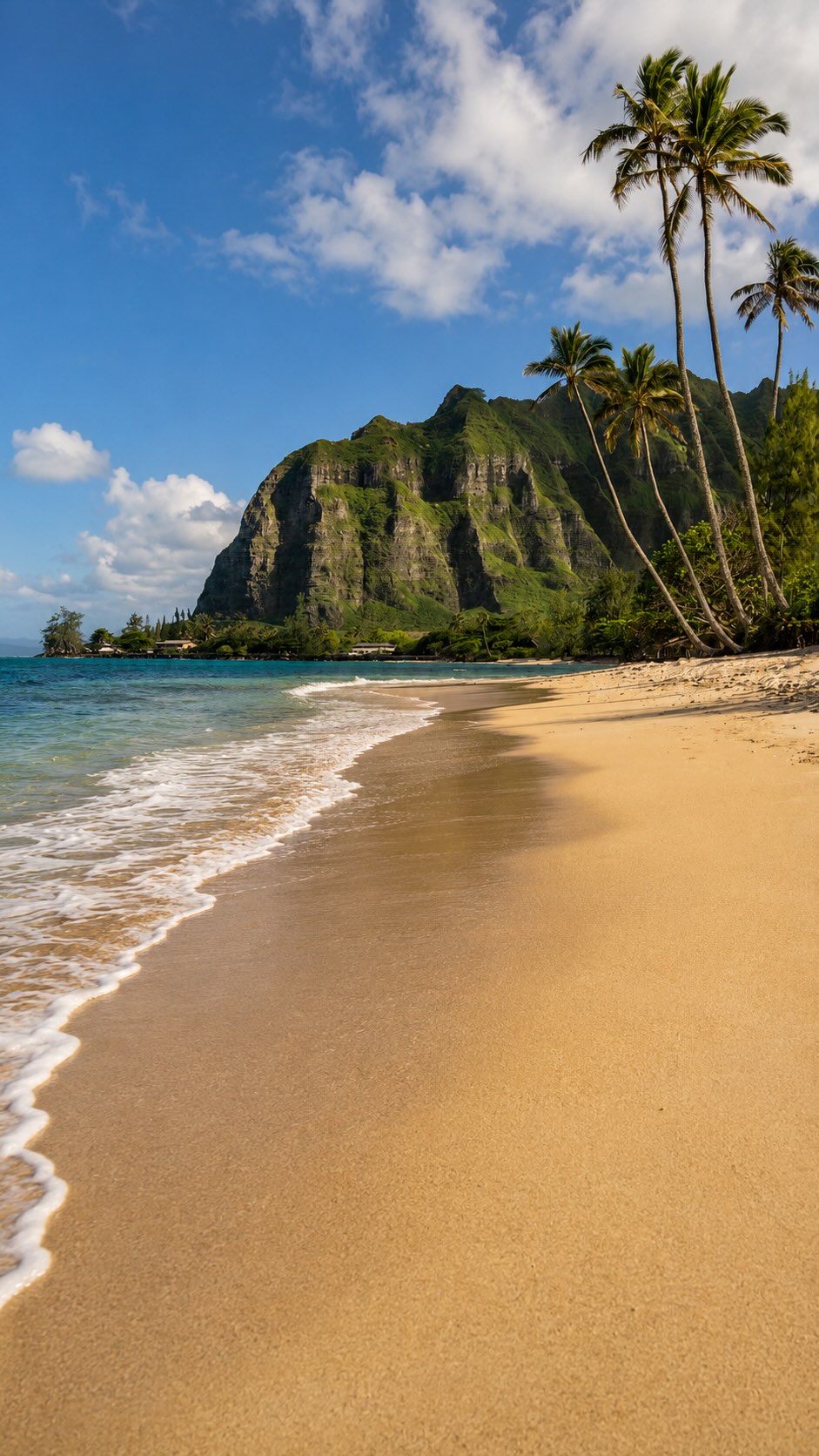 Oahu's Top Destinations For Nature And Views