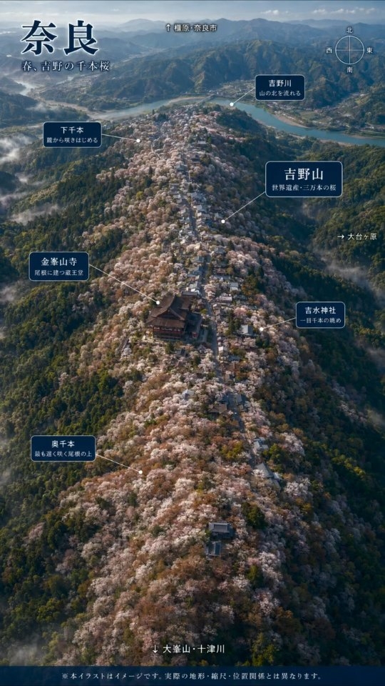 Nara's Ancient Capital and Sacred Mountains Across Seasons
