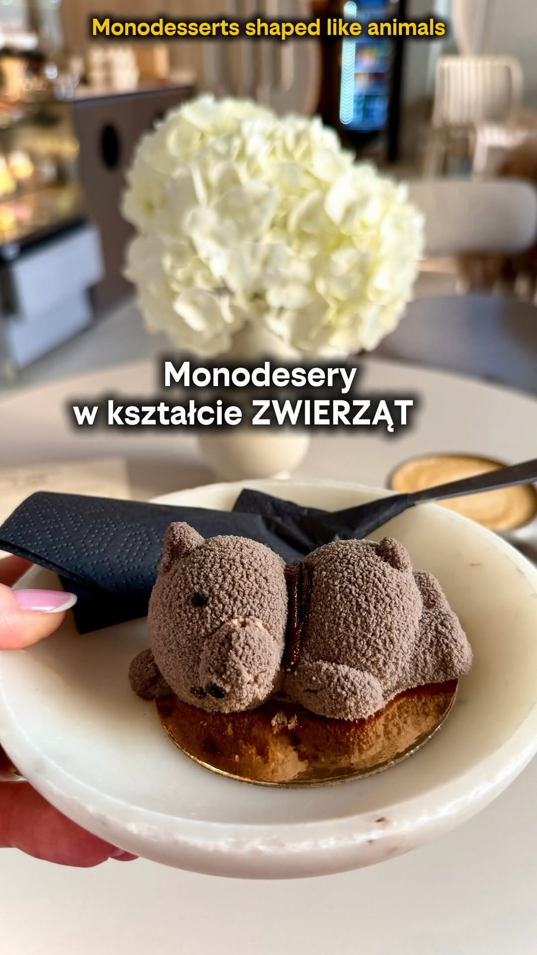 Krakow Cafe Features Artistic Monodesserts