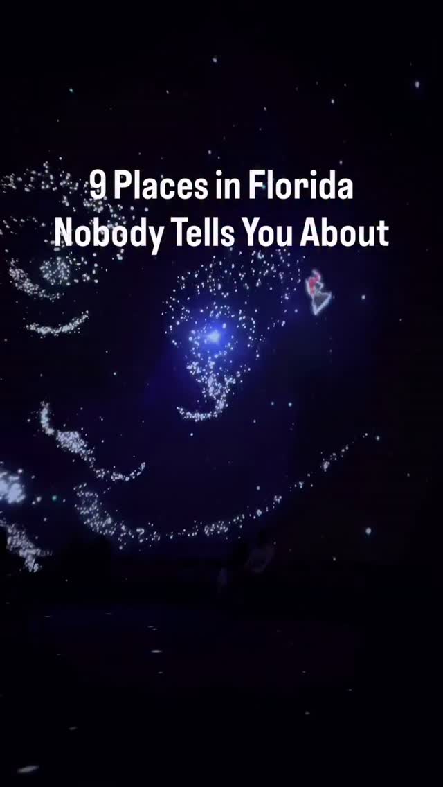 Explore Florida's Museums, Gardens, Beaches, and Springs