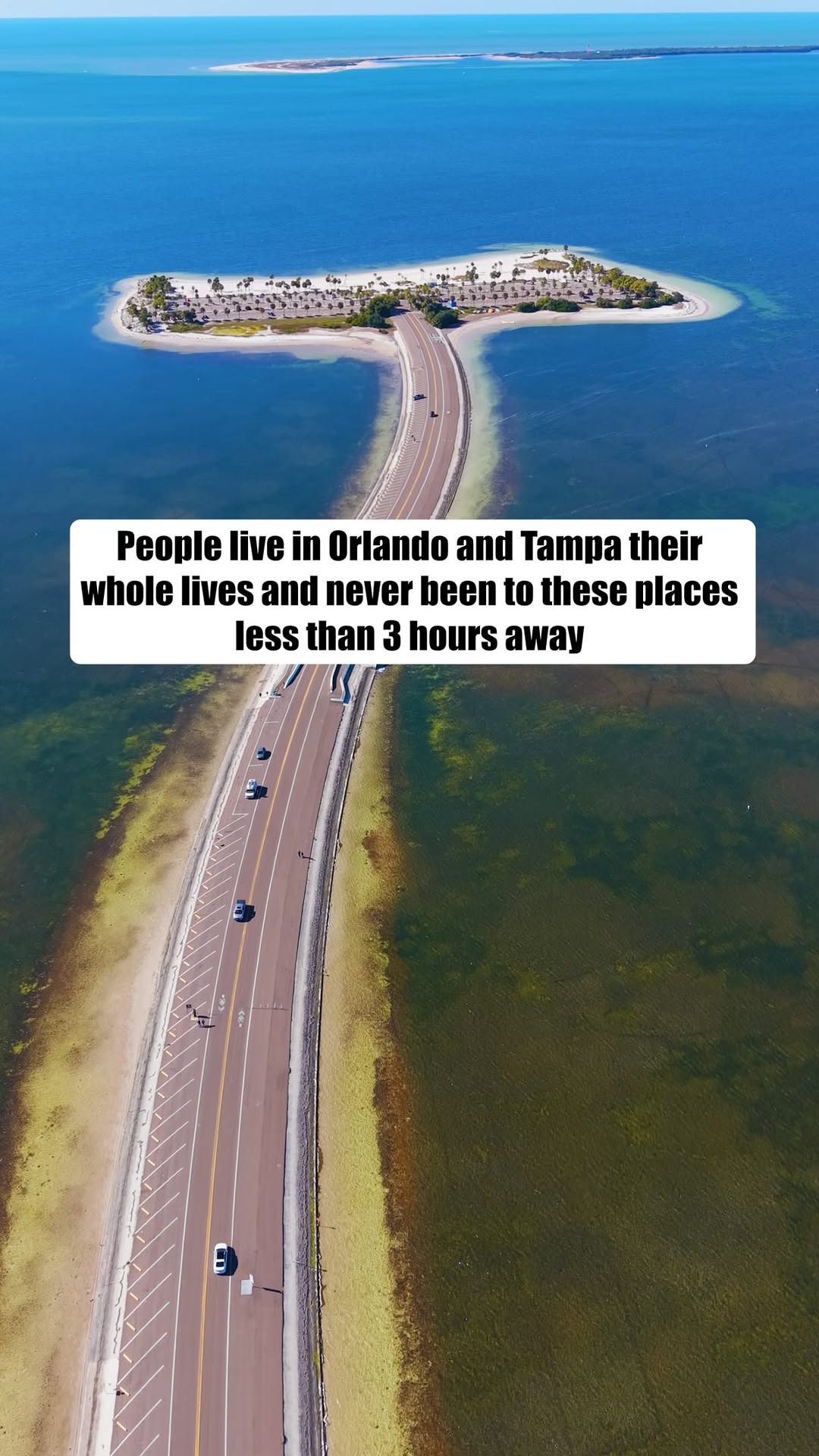 Florida's Natural Wonders And Unique Attractions