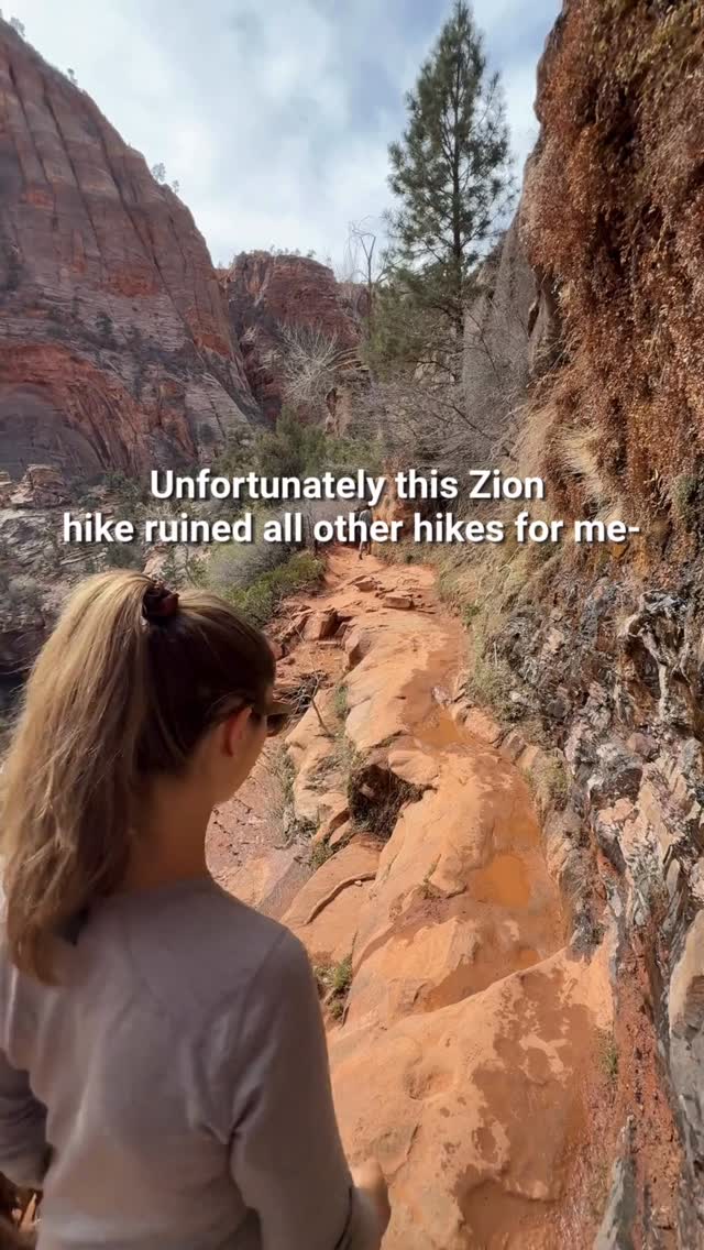 Zion National Park's Canyon Overlook Trail