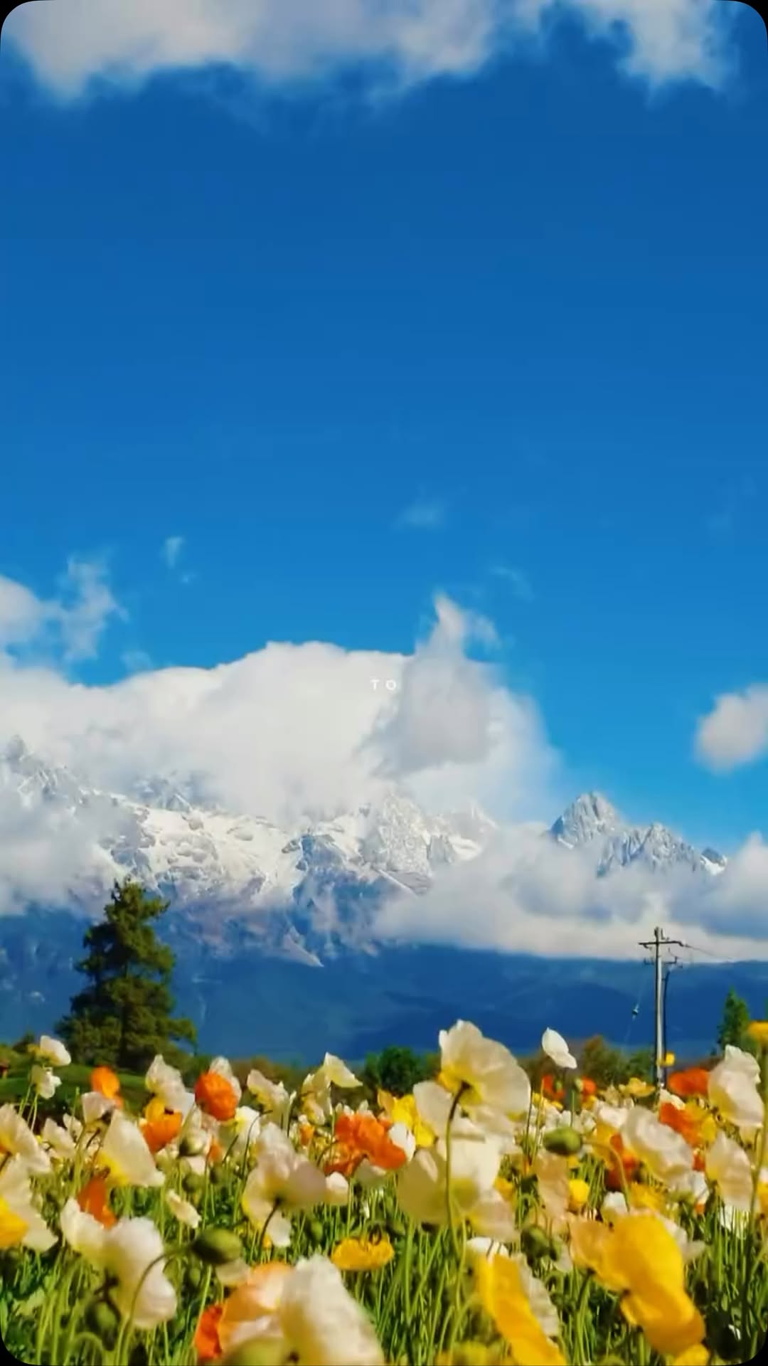 16 Attractions in China