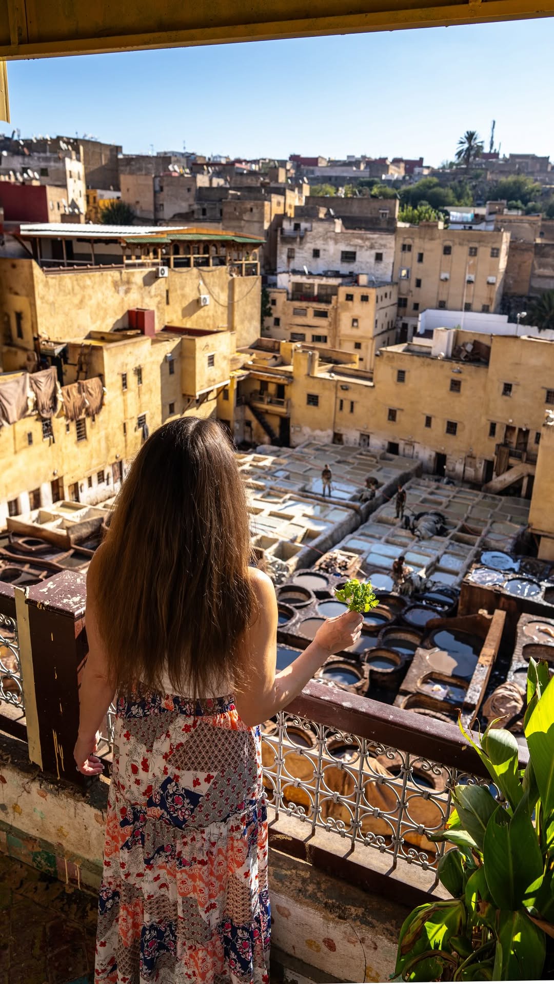 Fes El Bali's Historic Tanneries and Medina