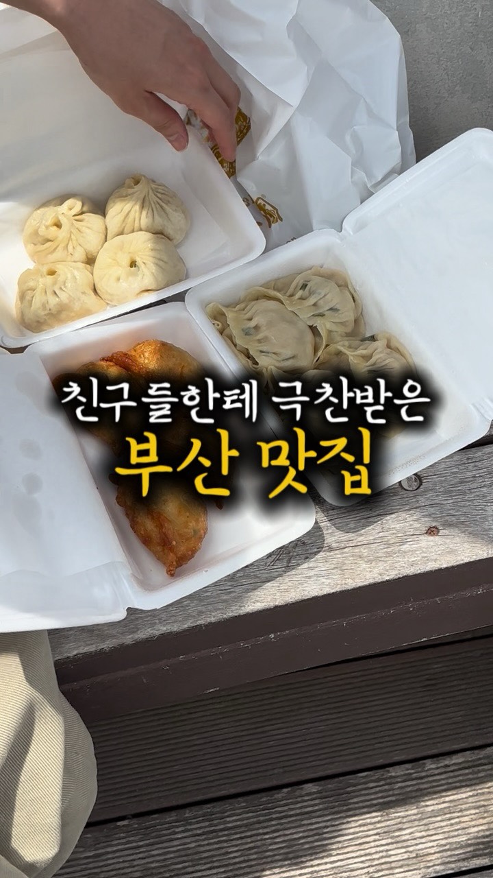Busan Food Favorites: Pizza, Dumplings, and Tonkatsu