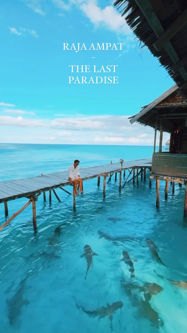Raja Ampat: Indonesia's Marine Paradise
