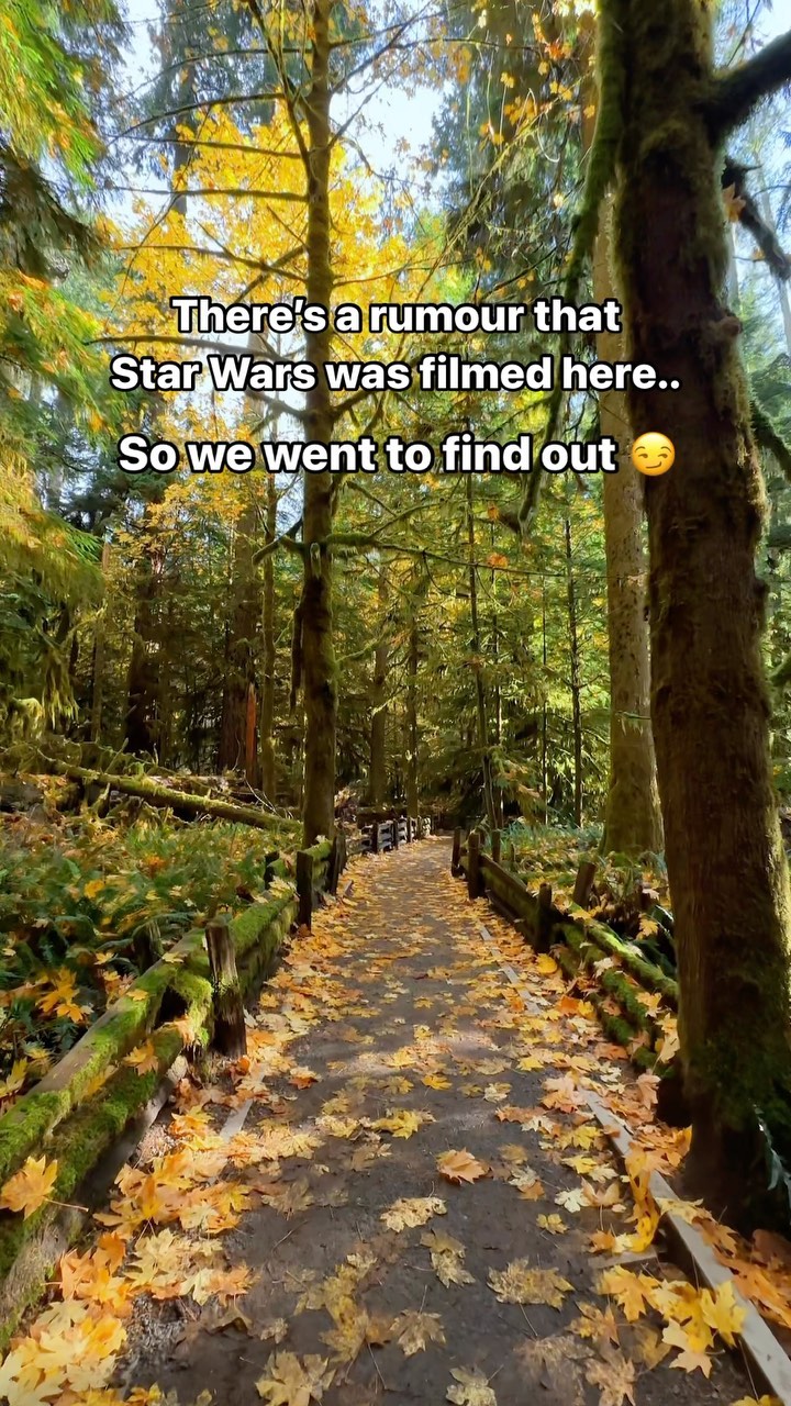 Giant Trees: Filming Locations For Star Wars