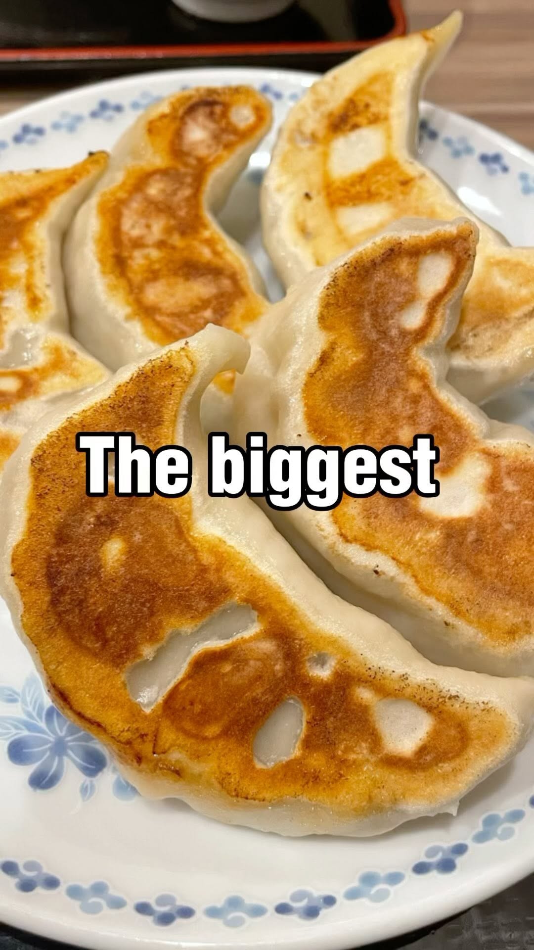 Giant Dumpling Hunt In Tokyo
