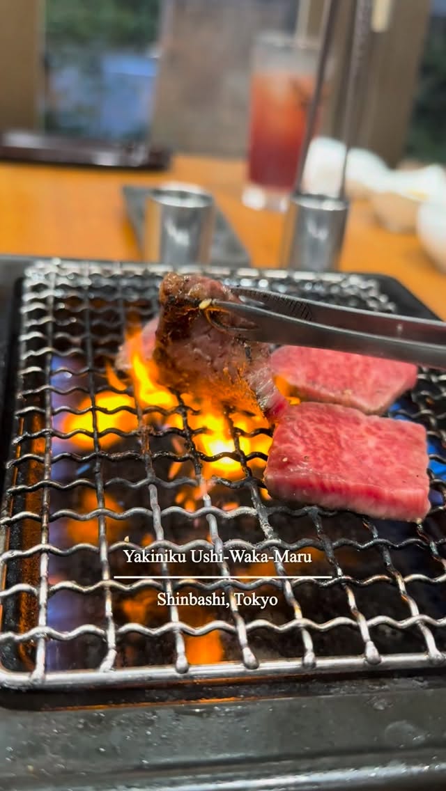 A5 Wagyu and Tail Soup Porridge in Tokyo