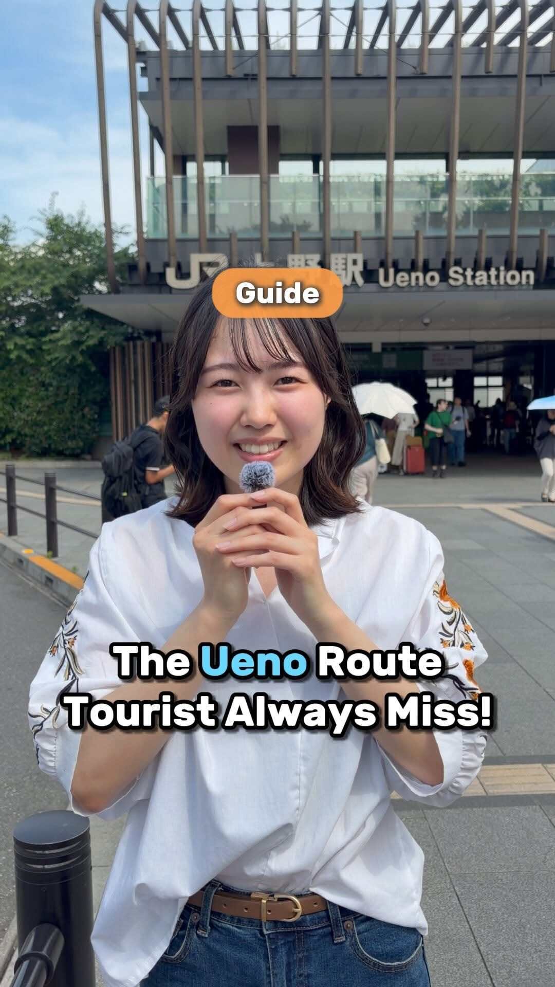Ueno District Exploration: Markets, Museums, and More