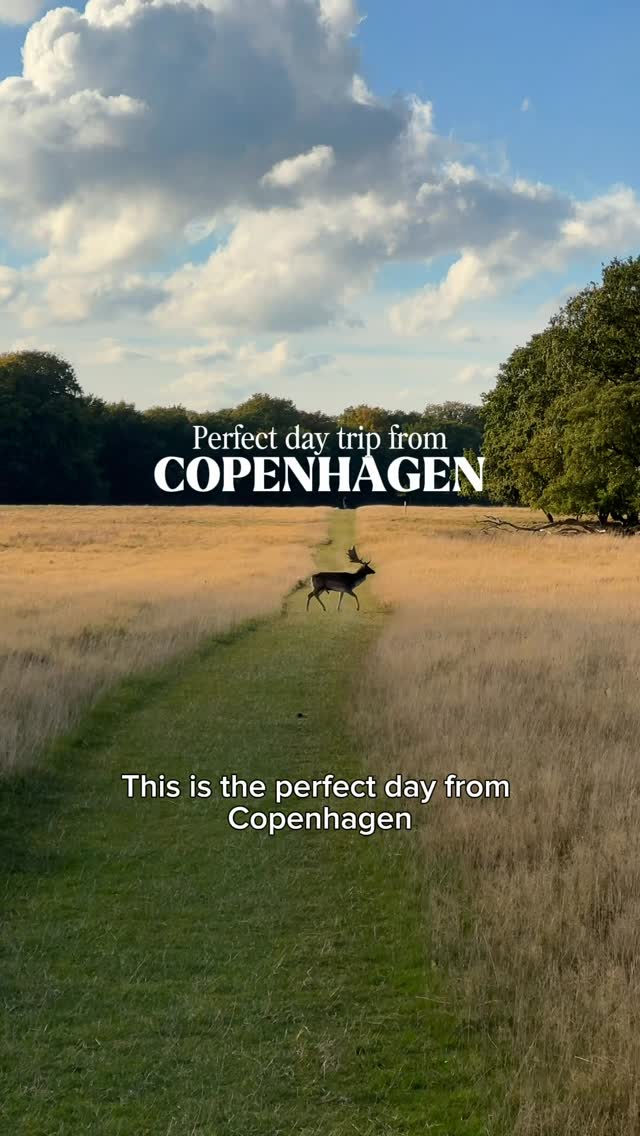 Copenhagen Day Trip: Art, Deer, and Palaces