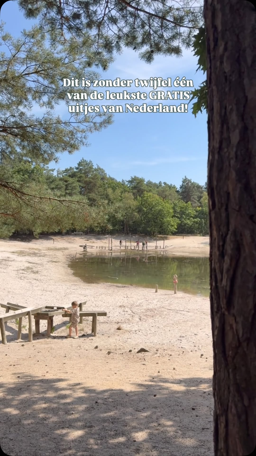 1 Restaurants in Schaijk