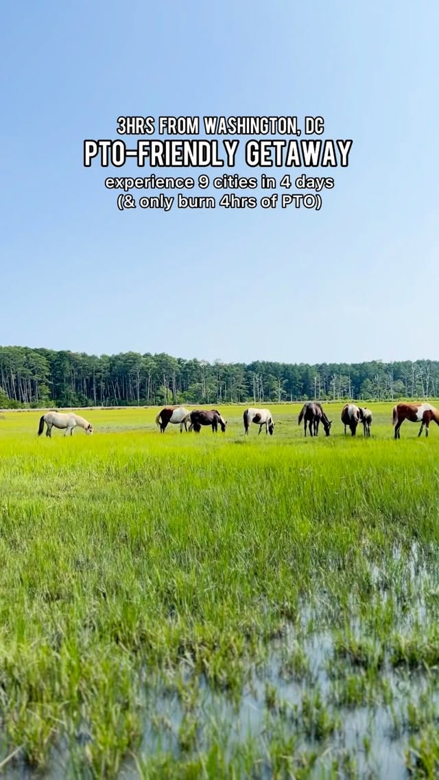 14 Places in Virginia