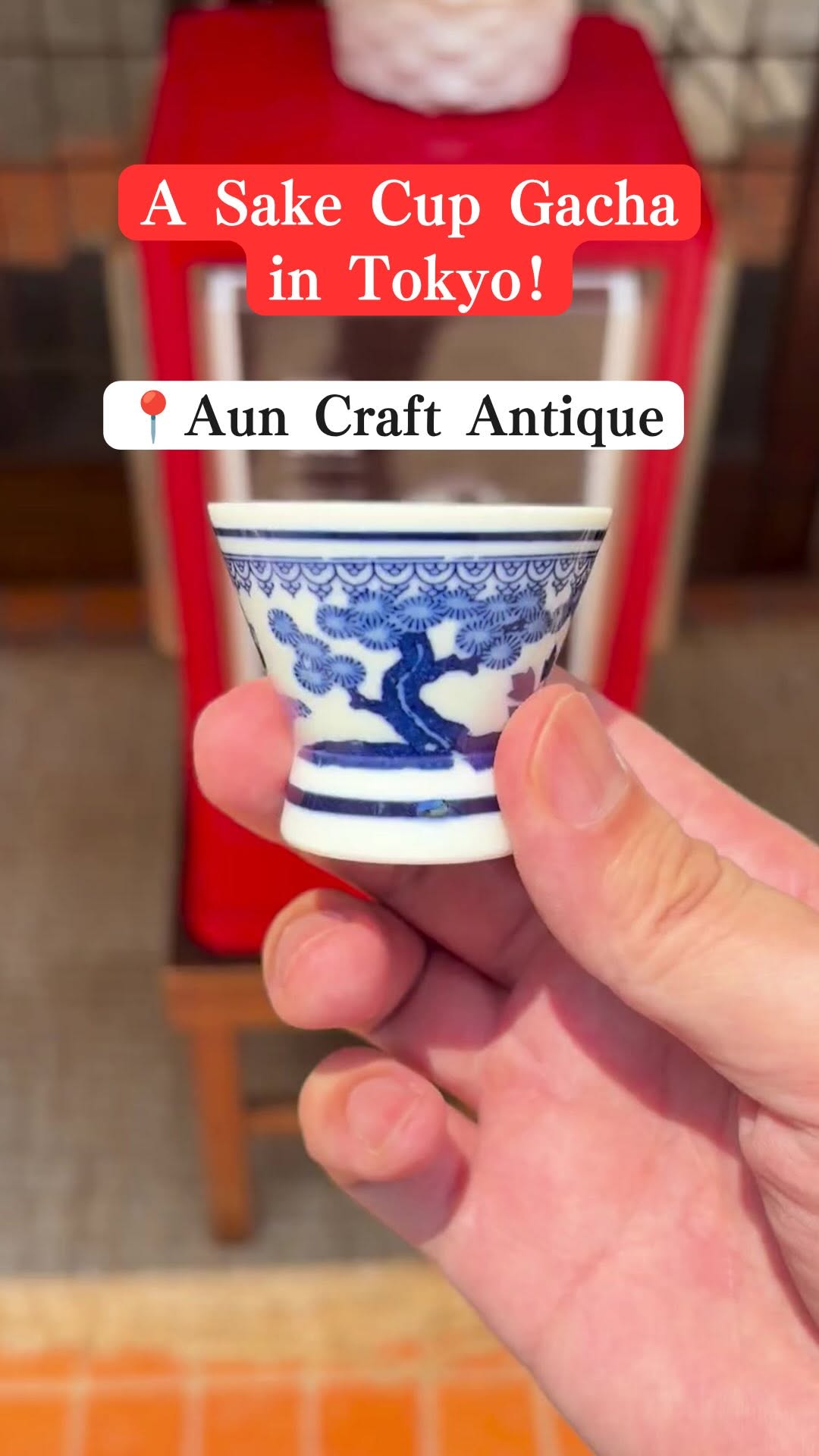 Charming Japanese Souvenir Sake Cups