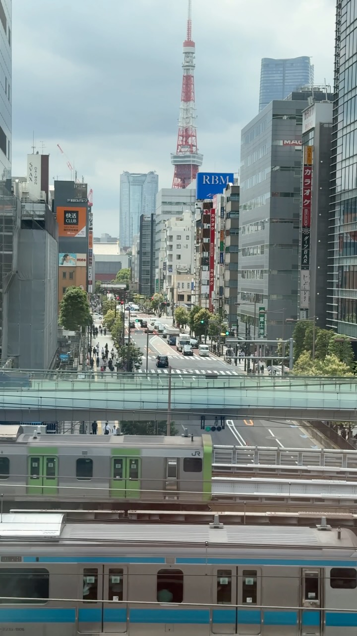 Iconic Tokyo Tower and Train Views