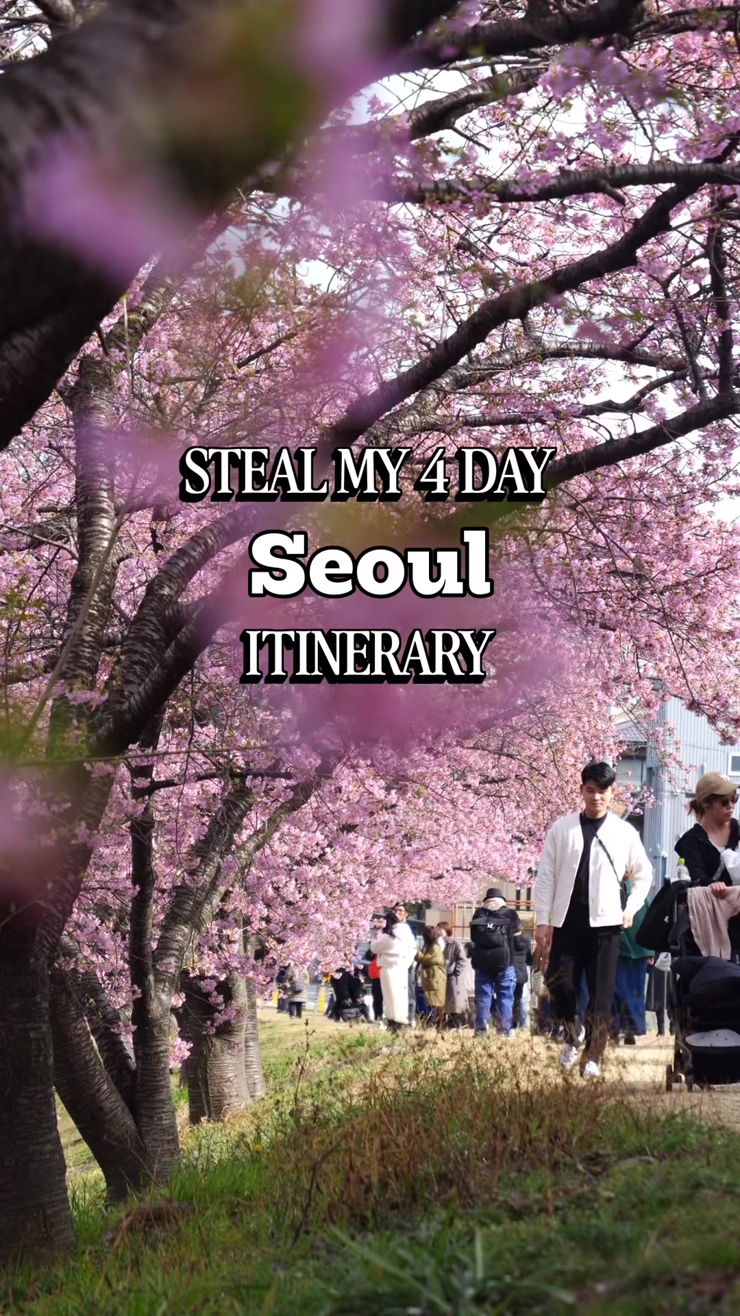 11 Attractions in Seoul