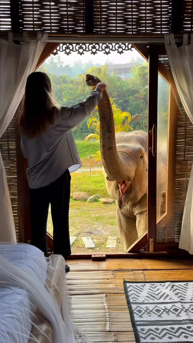 1 Places in Chiang Mai