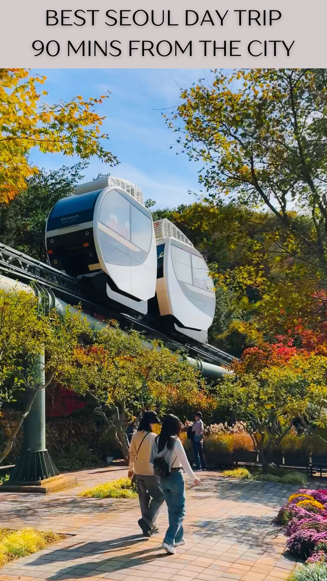 Hwadam Forest And Gwangju Station Day Trip