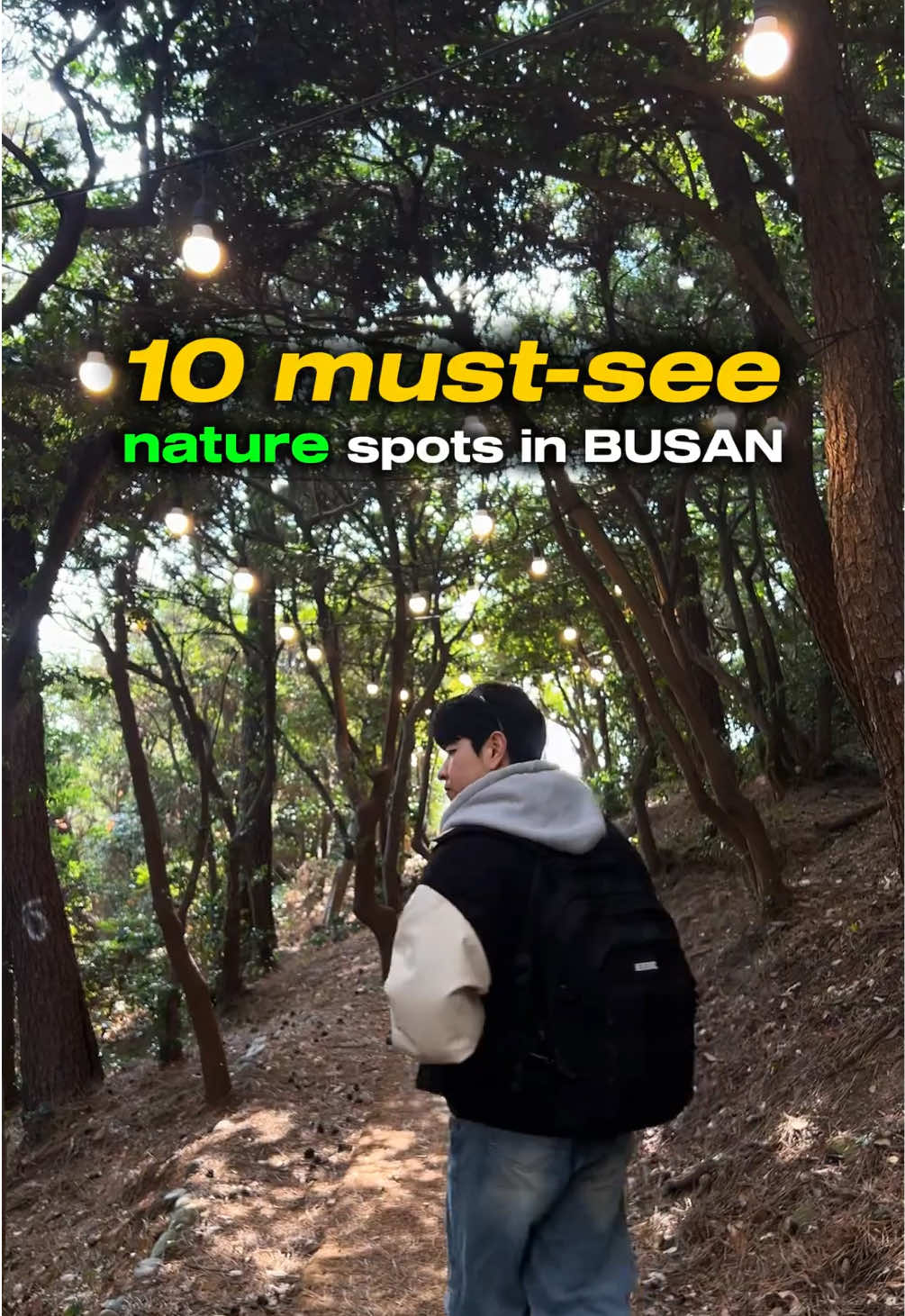 Busan's Best Parks and Coastal Nature Escapes
