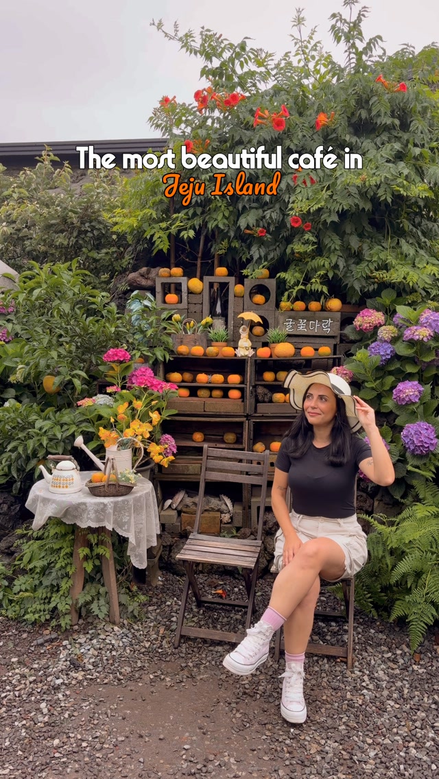 Jeju Cafe Offers Garden Delights And Tangerine Picking