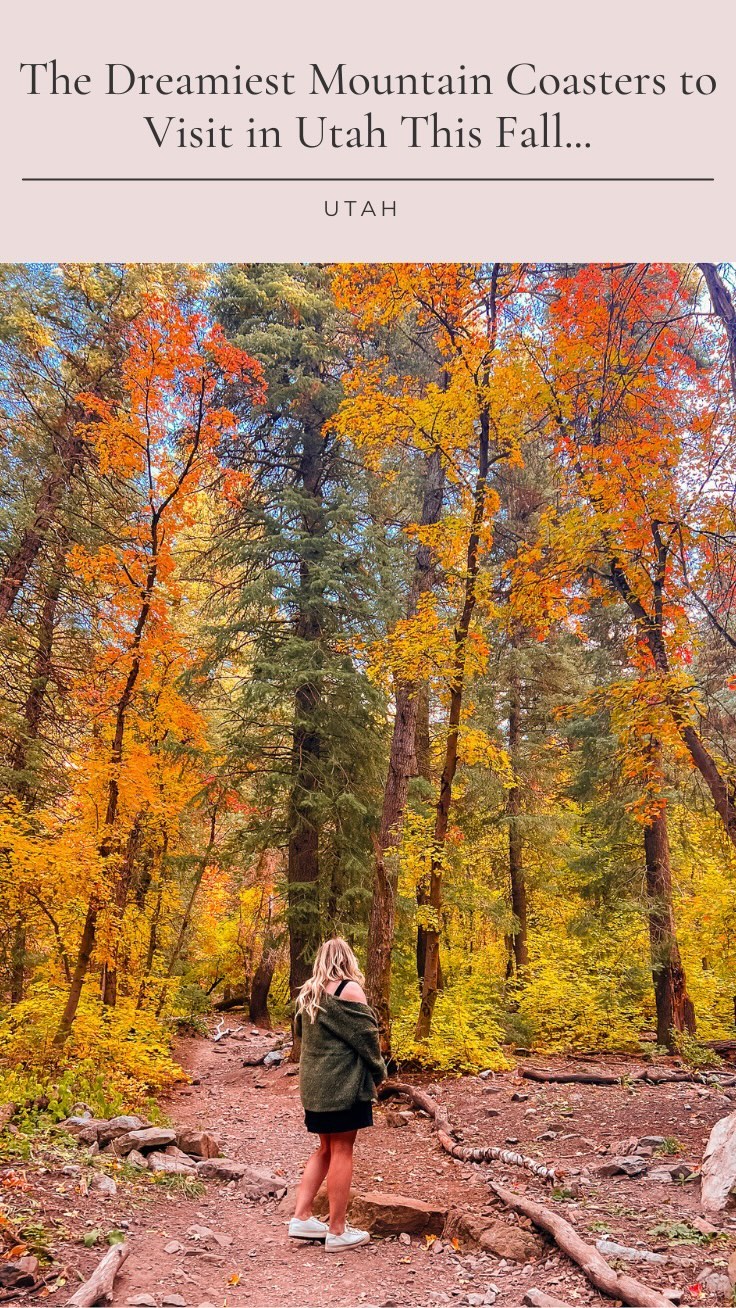 Utah Mountain Coasters Offer Autumn Thrills