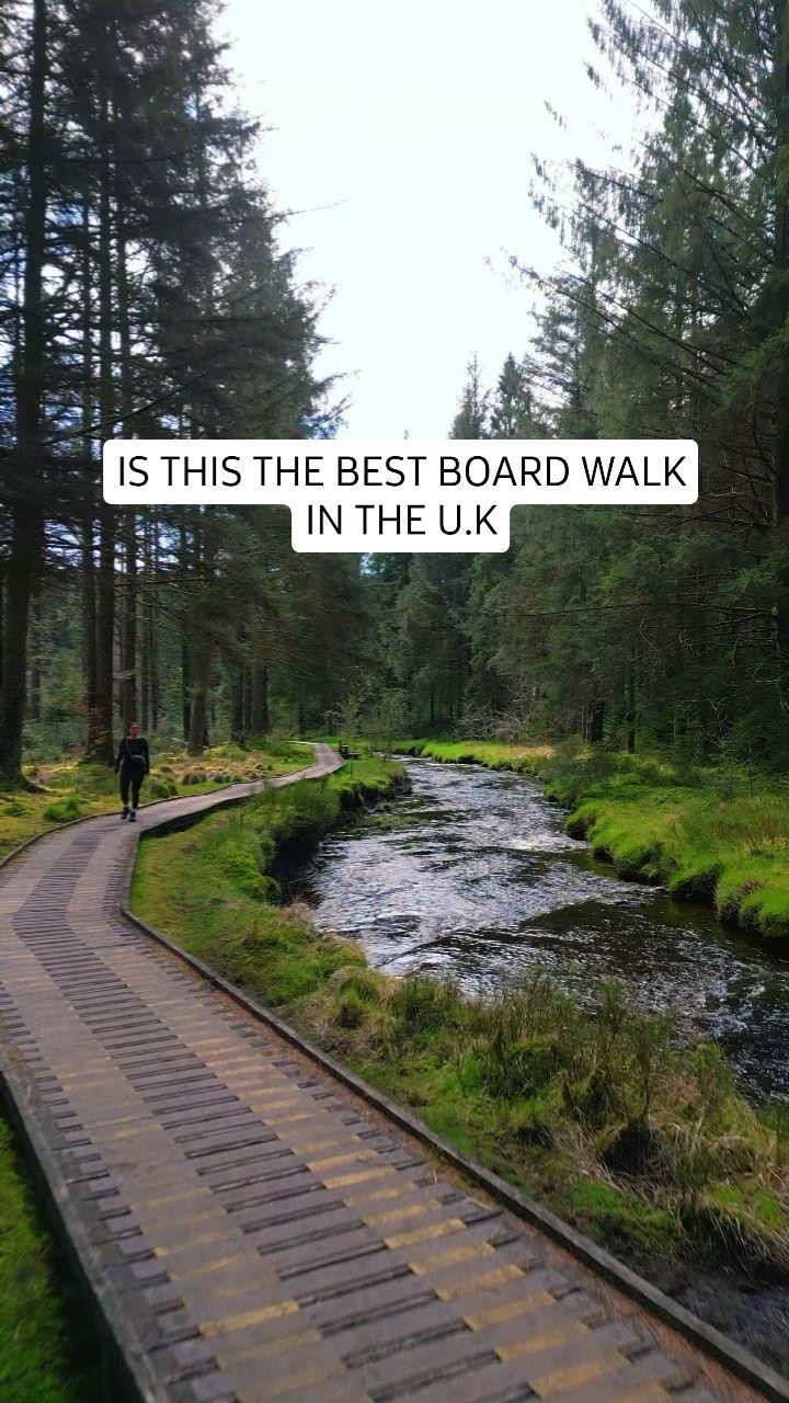 Hafren Forest: A Scenic Woodland Walk