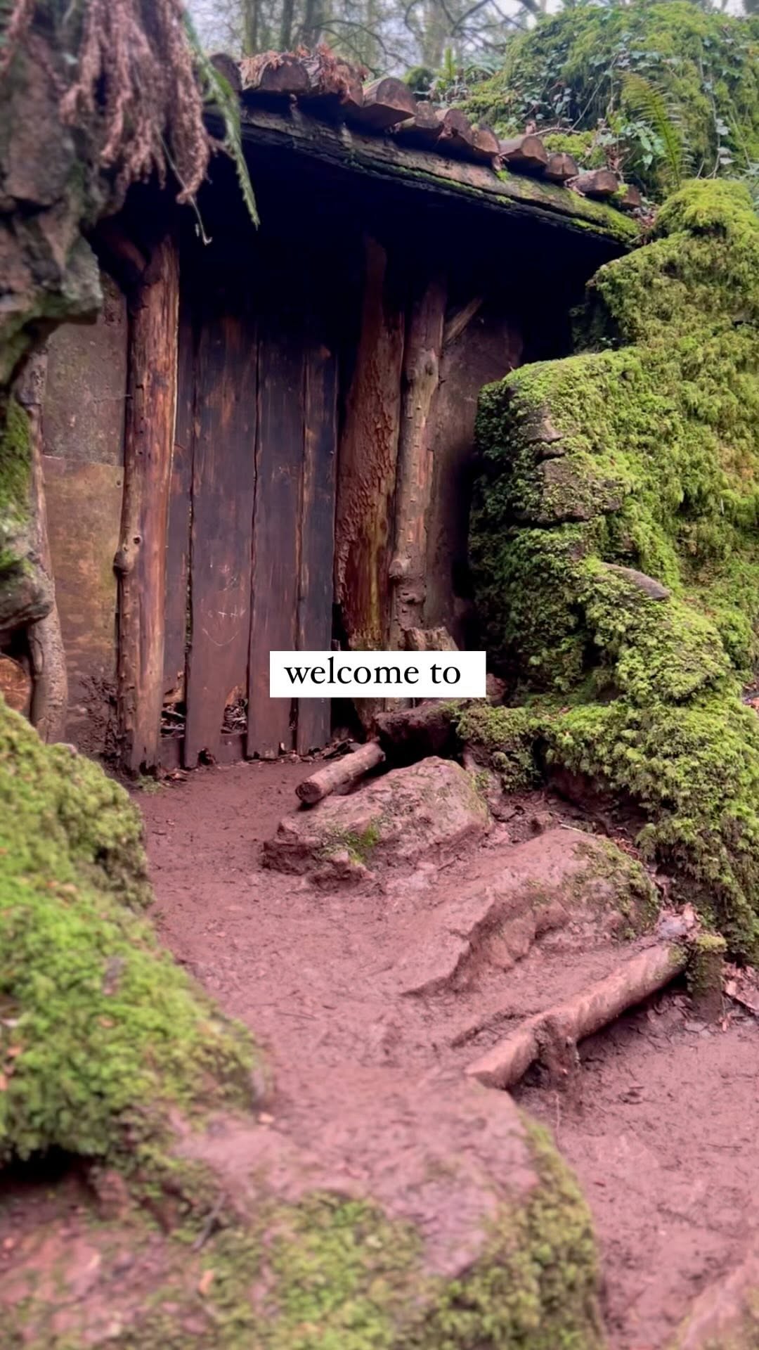 Puzzlewood: A Magical Forest for All Ages