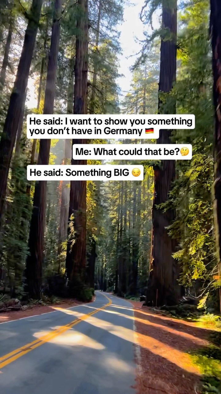 California's Parks Feature World's Tallest Trees